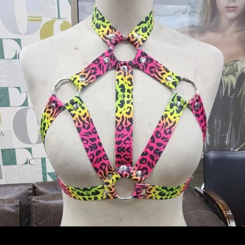 Daisy Corsets Neon Leopard Crop Top